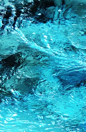 Japanese Value Creators Ranking 2024.jpg