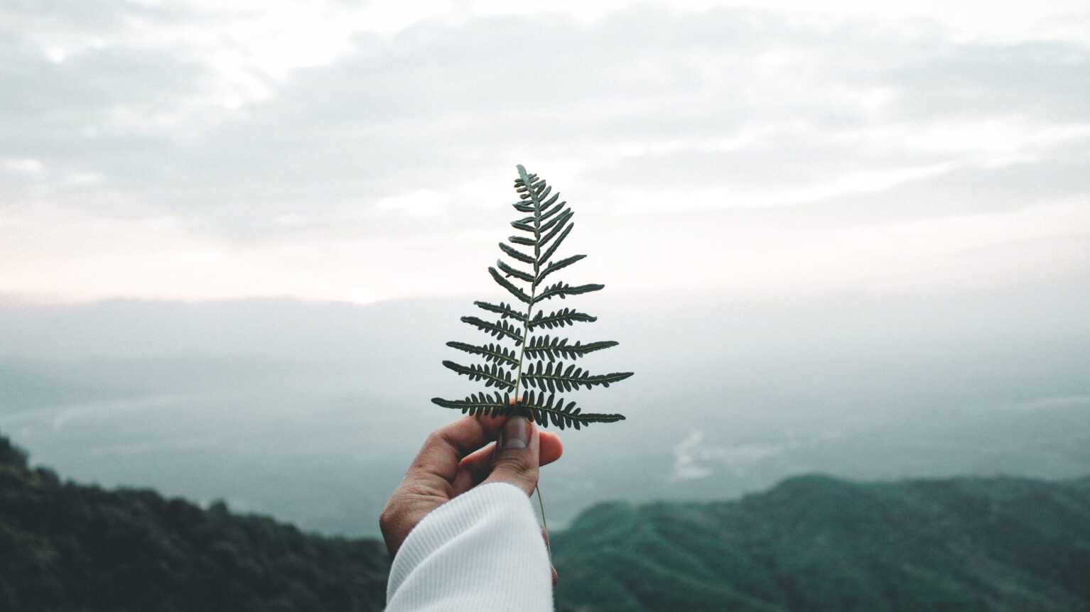 Boston Consulting Group Management Consulting g