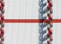 Do you Need a Business Ecosystem?