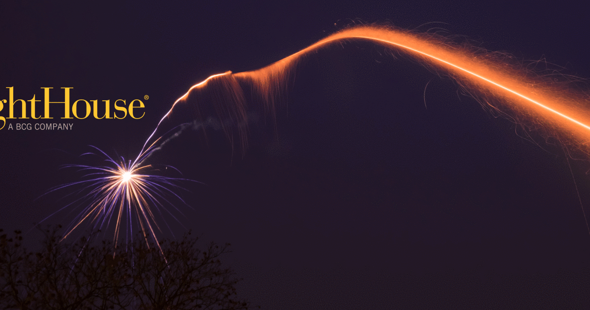 Business And Organizational Purpose Consulting g