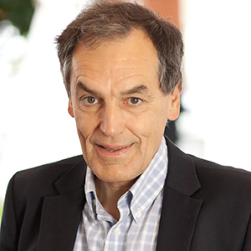 Headshot of BCG expert Luc de Brabandere