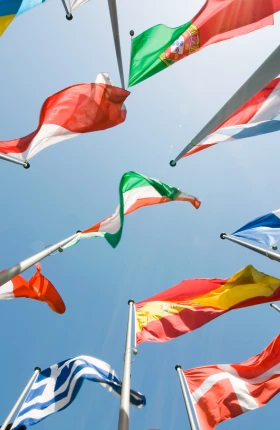 Center for Geopolitics Banner
