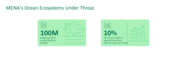 MENA's Ocean Ecosystems Under Threat
