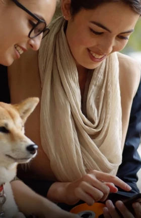 Sustaining Innovation in Animal Health: Zoetis's Digital Transformation