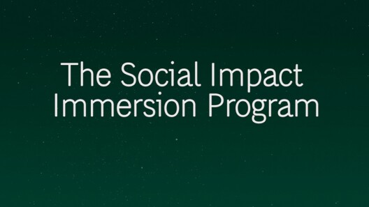 Social Impact Immersion Program