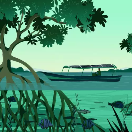 ClimateVision2050-Mangrove-Manifesto-Episode-6-Image.jpg