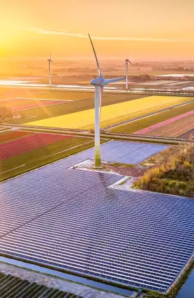 A Rapid Energy Transformation Is Good for Nature and the Climate | rectangle