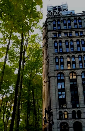 Tall stone building flanked by a forest of green trees