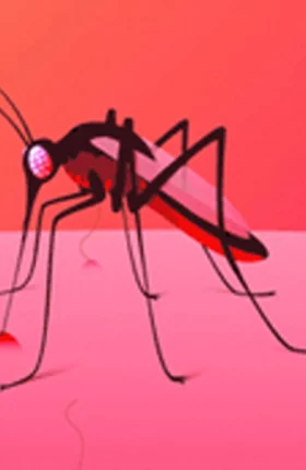 Cartoon graphic of a large mosquito