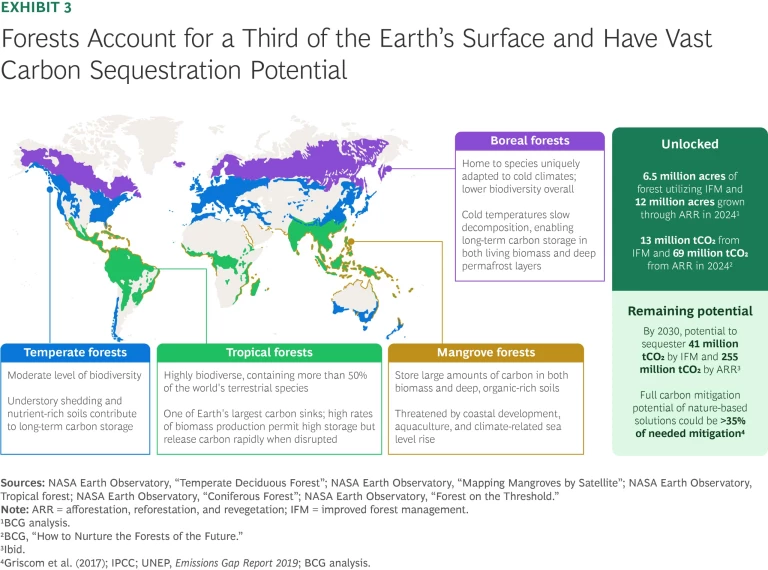 How Forests Can Revitalize Carbon Markets | Exhibit 3
