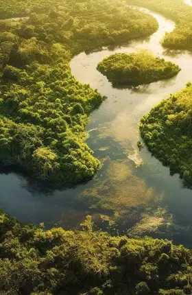 BRAZIL CLIMATE REPORT 2024 | Hero