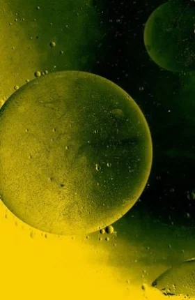 Carbon Removal Promo Image