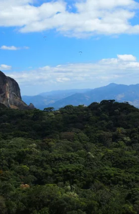 Brazil Climate Summit EU: Seizing Brazil’s Potential as a Global Hub for Green Industrial Products | Hero