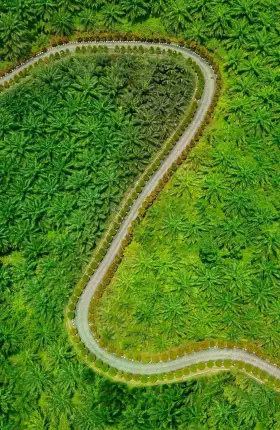 Your Supply Chain Needs a Sustainability Strategy