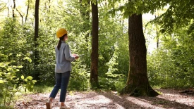 How Forests Can Revitalize Carbon Markets | Rectangle