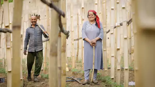 Empowering India’s Farmers with Digital Solutions