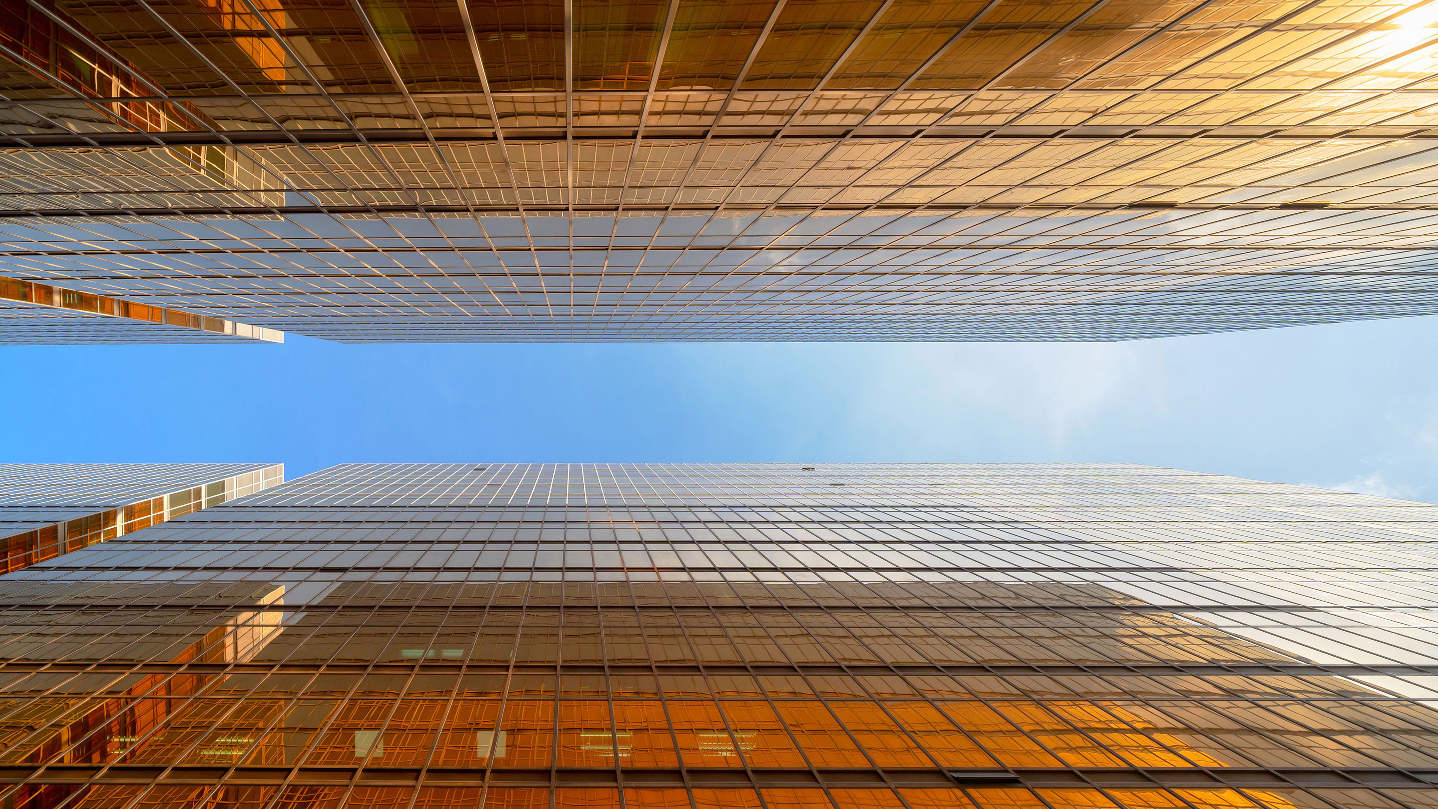A New Operating Model for Digital Support Functions